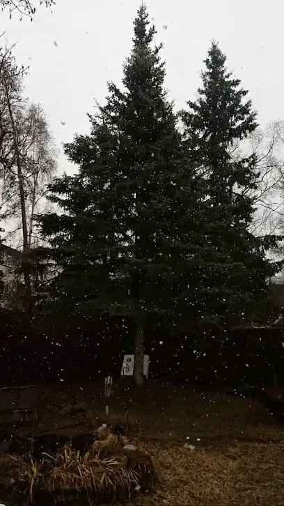 American Roofing LLC — main photo