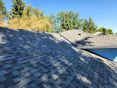 Any Roof Repair & Installation