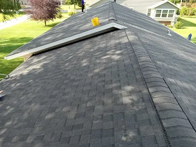 Asset Roofing