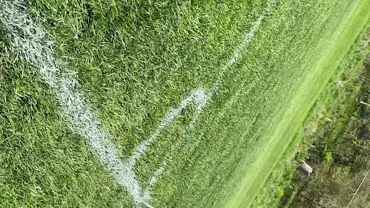 Black & White Roofing