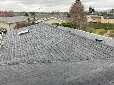 Buzzline Roofing