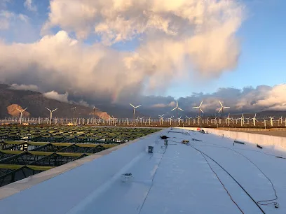 BYLTup — main photo