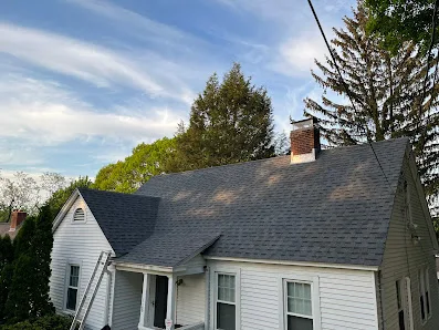 Construction Mutants LLC