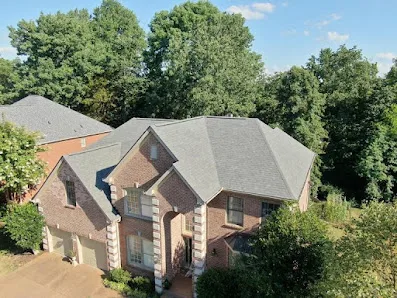 Dragon Scale Roofing