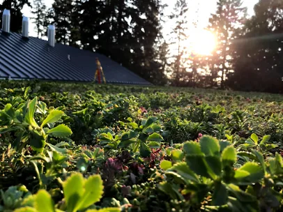 Element Smart Roofing — main photo