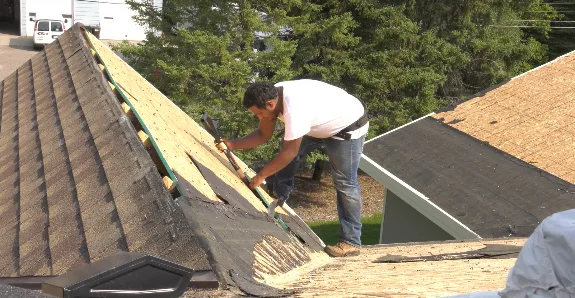 Elysian Construction