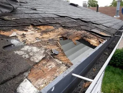 Giant Roofing