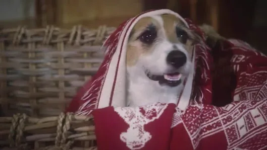 HG Contractors, Inc.