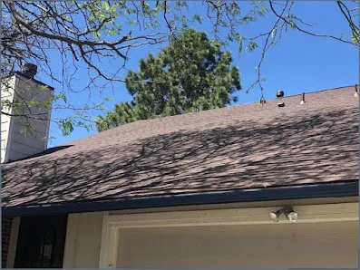 Houston Family Roof Architecture