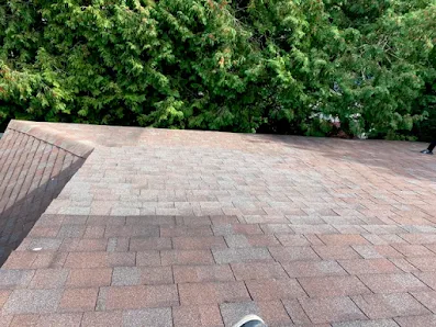 JSS Roofing Contractors