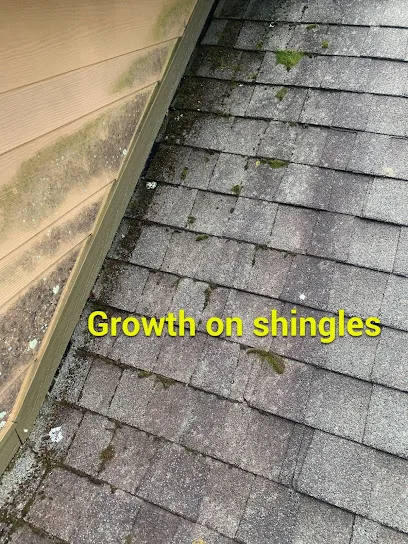 Litespeed Construction - Asheville Roofing Contractor