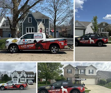 Mighty Dog Roofing Indianapolis