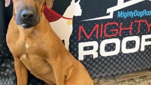 Mighty Dog Roofing of Richmond