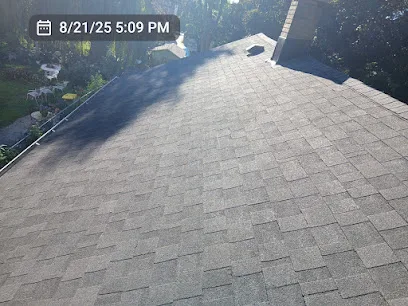 Modern Exterior Roofing