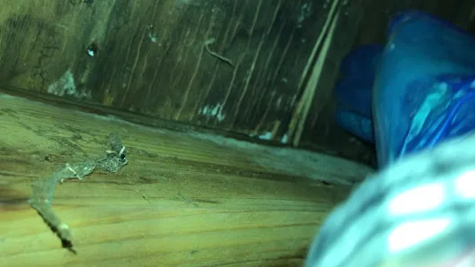 Mr. Roof Grand Rapids