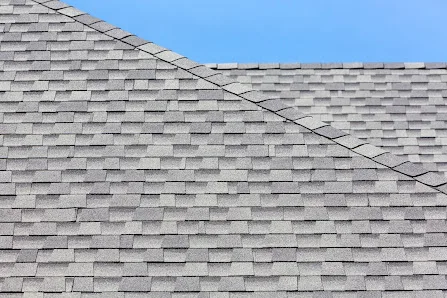 Pantera Roofing