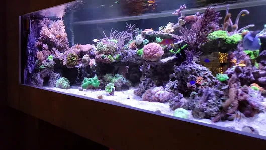 Peoria Tile and Carpenters | REMODELING AND ROOFING SERVICES