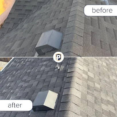 Petrali Roofing - Central