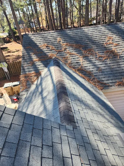 Professional Roofing Solutions