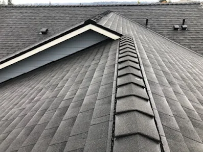 Rainier Roofing Company