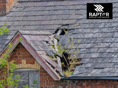 Raptor Roofing of Colorado Springs