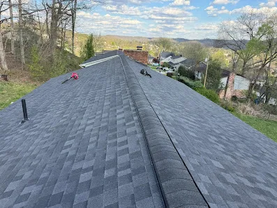 Royal Roofing