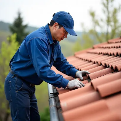 San Francisco Roof Masters