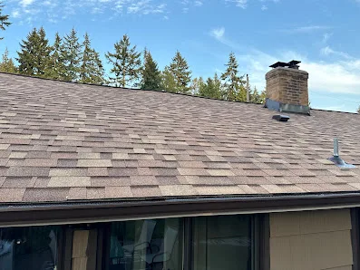 Seattle Roof Systems