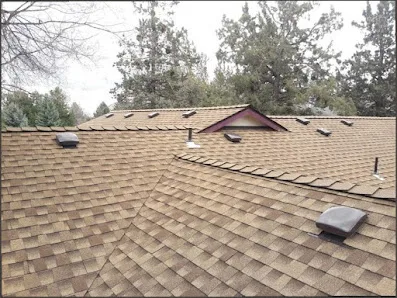 SF Roof Specialists