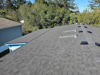 Solsken Roofing