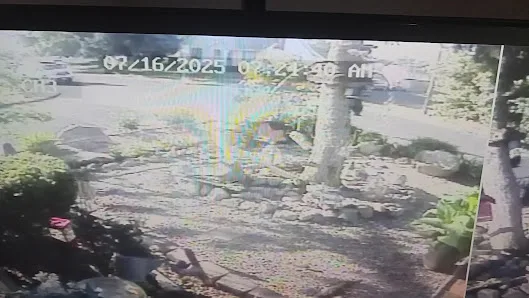 Specialty Home Products, Inc.