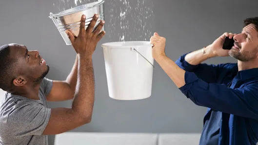 The Detroit Roofing Company