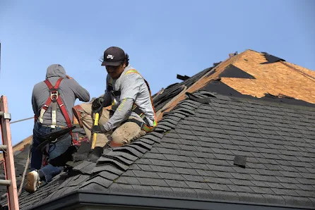 The Roof Doctor
