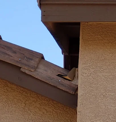 Tucson Roofing Contractors — main photo