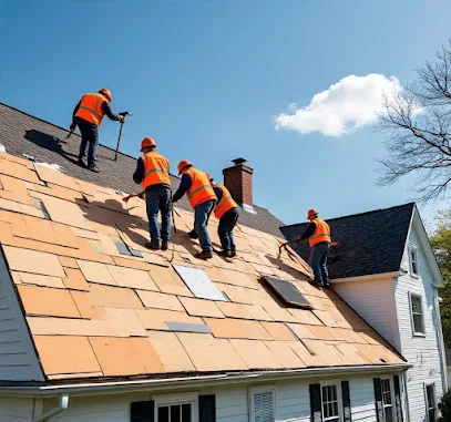 Wise Roofing Solutions of Los Angeles